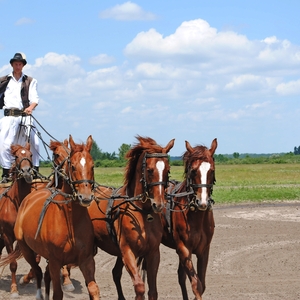 Puszta