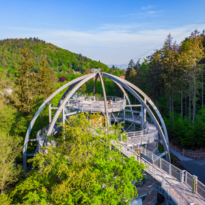 Baumwipfelpfad