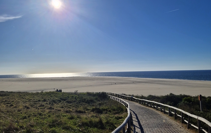 Texel