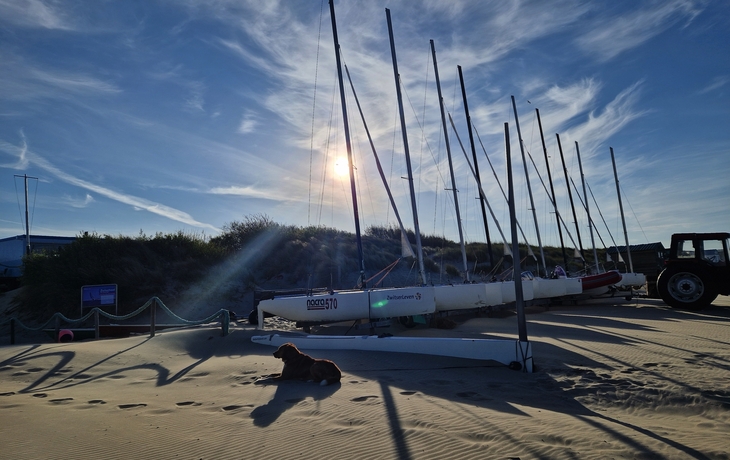 Texel