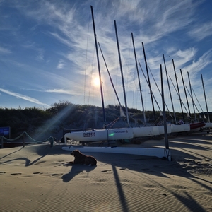 Texel
