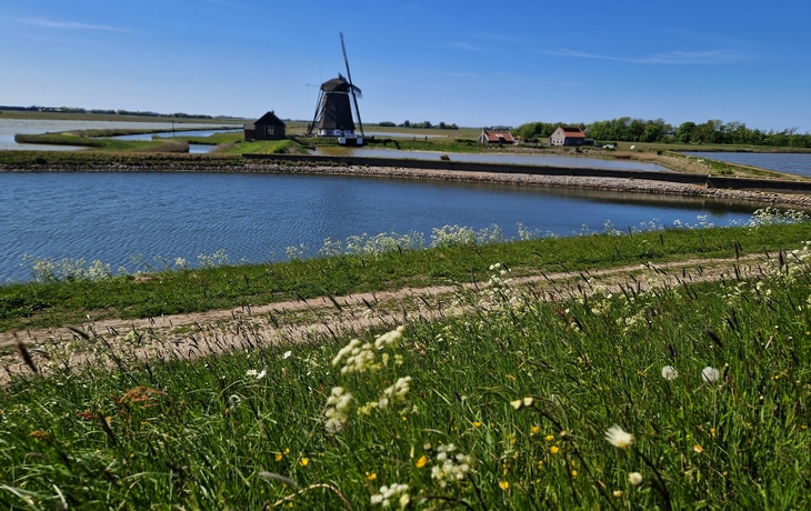 Texel