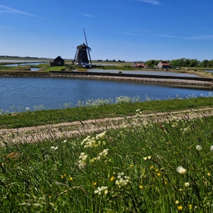 Texel